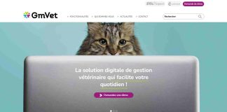 Gmvet : outil clé pour digitaliser votre activité vétérinaire gmvet