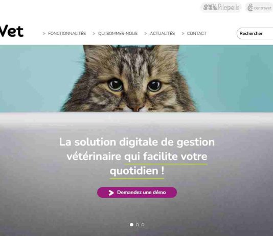 Gmvet : outil clé pour digitaliser votre activité vétérinaire gmvet